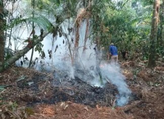 "Incendio en la aldea El Mirador, Sierra de las Minas, El Estor, Izabal." Foto: Conred/La Hora