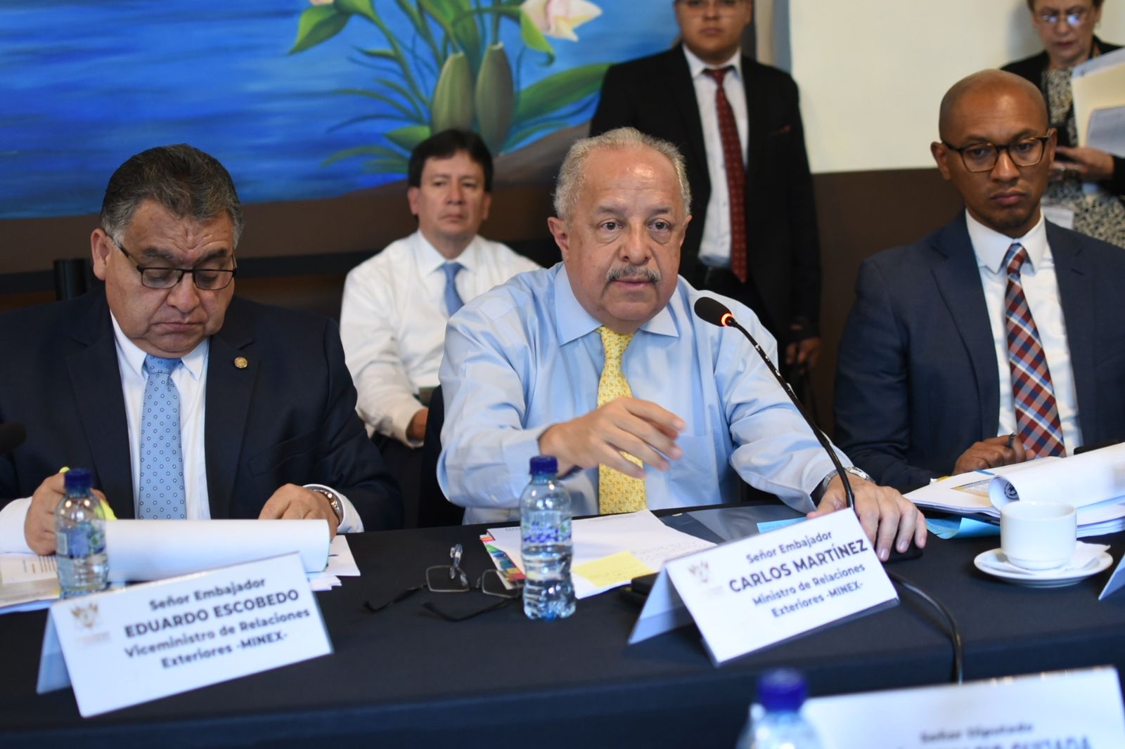 El canciller, Carlos Ramiro Martínez, fue citado a la comisión Del Migrante del Congreso. Foto: Fabricio Alonzo/La Hora