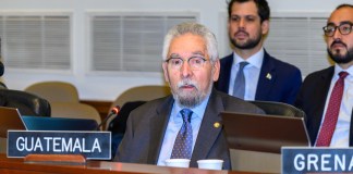 FOTO OEA El exembajador Francisco Villagran en una de sus intervenciones en la OEA en marzo pasado.