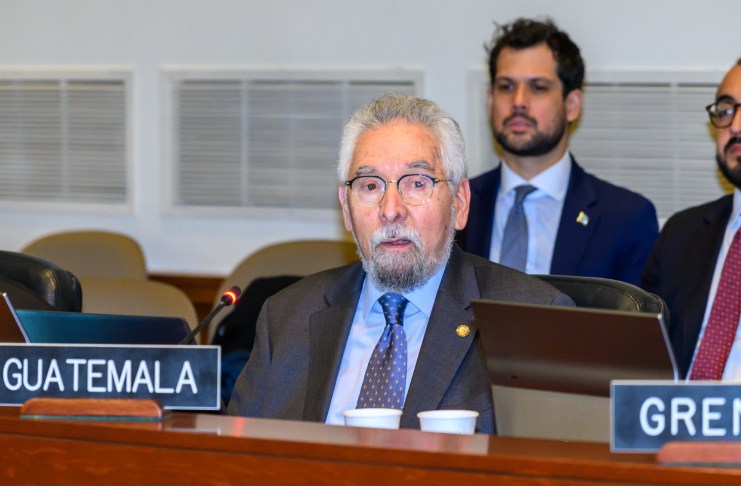 FOTO OEA El exembajador Francisco Villagran en una de sus intervenciones en la OEA en marzo pasado.