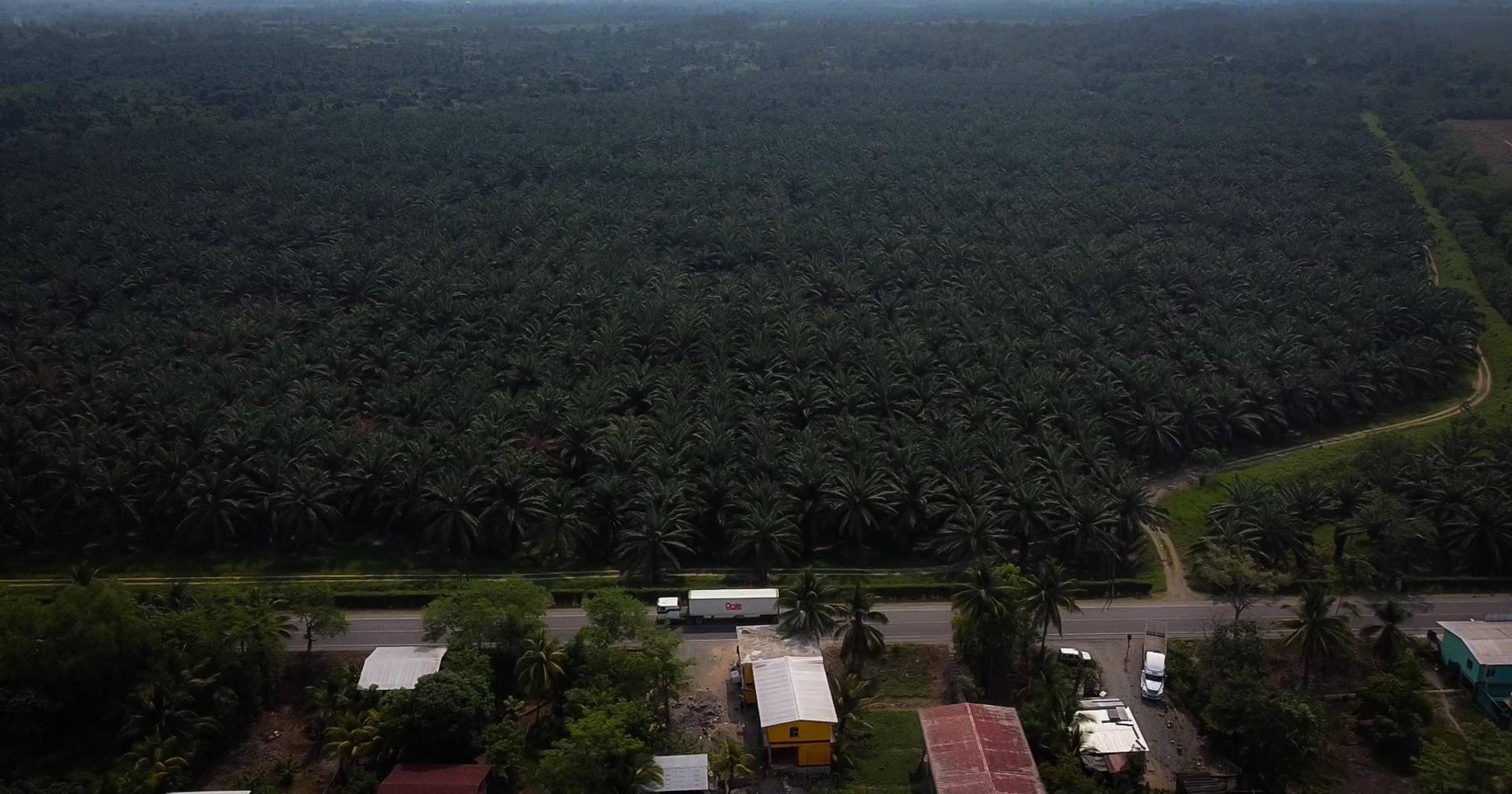 Un camión de bananos atraviesa la carretera que divide la comunidad de Jimeritos y un campo de palma africana en el tramo fronterizo de Entre Ríos entre Guatemala y Honduras, el pasado 2 de mayo