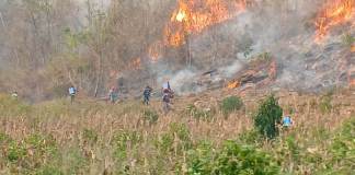 La mayoría de los incendios activos en el país son forestales. (Foto: Conred)
