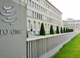 Una delegación de Guatemala busca reunirse en la Organización Mundial del Comercio con una representación de China para tratar el tema de la retención de macadamia y café en las aduanas del país asiático. Foto: OMC/La Hora