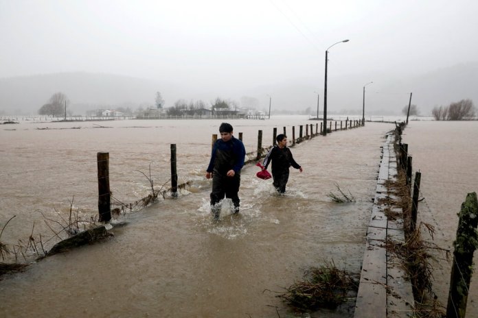 La gente camina por una carretera inundada en río Pichilo, Arauco, Chile. (Foto AP/Amilix Fornerod)