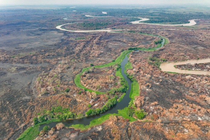 ARCHIVO- El parque Encuentro de las Aguas se encuentra dentro de la zona de los humedales del Pantanal, cerca de Pocone, en el estado de Mato Grosso, Brasil, el 17 de noviembre de 2023, luego que incendios forestales consumieron parte de la zona. (AP Foto/Andre Penner, archivo)