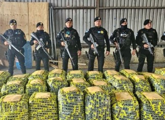 "Segundo gran cargamento incautado por SGAIA-PNC en este año", Foto: PNC / La Hora.