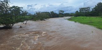 La intensa lluvia de los últimos días ha generado la crecida del cauce de varios ríos en el país. Foto: Conred