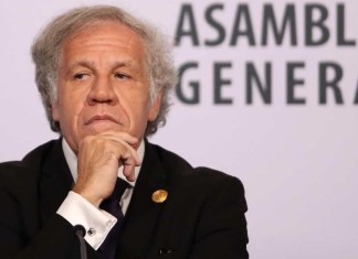 Luis Almagro, secretario general de la Organización de los Estados Americanos (OEA). Foto: AGN