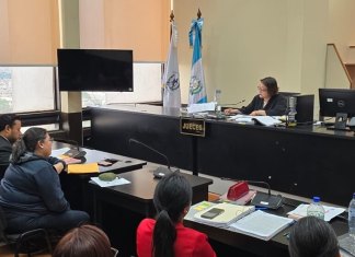 Claudia Chamorro es la cuarta implicada en el caso en aceptar cargos. Foto: Sergio Osegueda