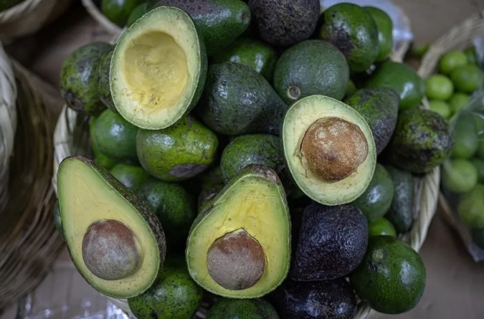 Fotografía donde se observa un puesto de venta de aguacates en el mercado central, el 19 de junio de 2024, en la ciudad de Guatemala (Guatemala). EFE/ David Toro