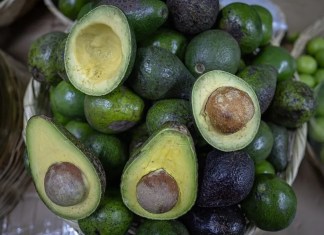 Fotografía donde se observa un puesto de venta de aguacates en el mercado central, el 19 de junio de 2024, en la ciudad de Guatemala (Guatemala). EFE/ David Toro