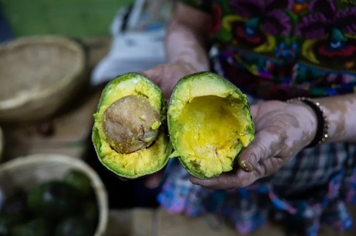 Una mujer muestra el interior de un aguacate en el mercado central, el 19 de junio de 2024, en la ciudad de Guatemala (Guatemala). EFE/ David Toro