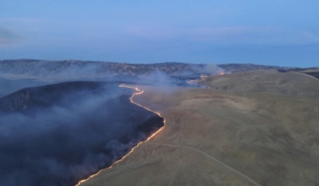 Esta fotografía publicada por el Departamento de Silvicultura y Protección contra Incendios de California muestra el incendio Corral ardiendo el domingo 2 de junio de 2024, cerca de Tracy, California (Departamento de Silvicultura y Protección contra Incendios de California vía AP).