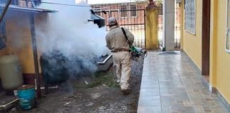 Un trabajador de Salud en una jornada de erradicación del mosquito Aedes Aegypti, que transmite el virus del dengue. Foto: MSPAS.