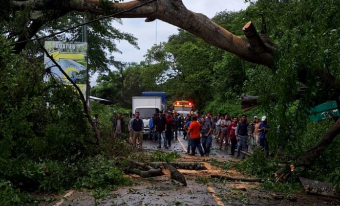 Paso obstruido por caída de un árbol en el km 72 de la RN-16 en Cuilapa, Santa Rosa. (Foto: Conred)