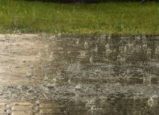 Se espera abundante lluvia en el territorio nacional. (Foto: Benfe en Pixabay)