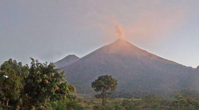 El volcán de Fuego expulsa ceniza. Foto: DCA