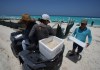 Funcionarios trasladan huevos de tortuga desde una playa para protegerlos de la llegada prevista del huracán Beryl, en Cancún, México, el miércoles 3 de julio de 2024. (AP Foto/Fernando Llano)