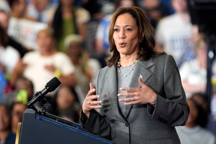 La vicepresidenta Kamala Harris habla en un evento de campaña en Greensboro, Carolina del Norte, el jueves 11 de julio de 2024. (AP Foto/Chuck Burton)