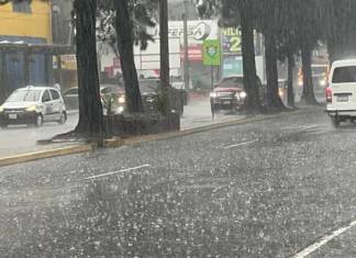 Foto: La Hora