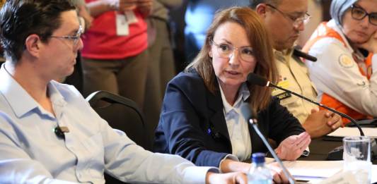 La ministra de Ambiente, Patricia Orantes, acudió a una citación en el Legislativo. Foto: Congreso