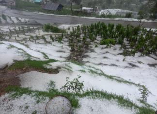 "Caída de granizo afecta viviendas y cultivos en San Marcos", Foto: Conred / La Hora.