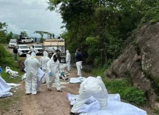 Autoridades mexicanas encontraron 19 cuerpos sin vida en un camino de terracería del estado de Chiapas. Foto: Voces de Soconusco Noticias
