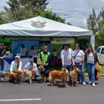 Foto: Unidad Municipal de Bienestar Animal