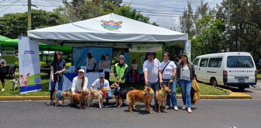 Foto: Unidad Municipal de Bienestar Animal