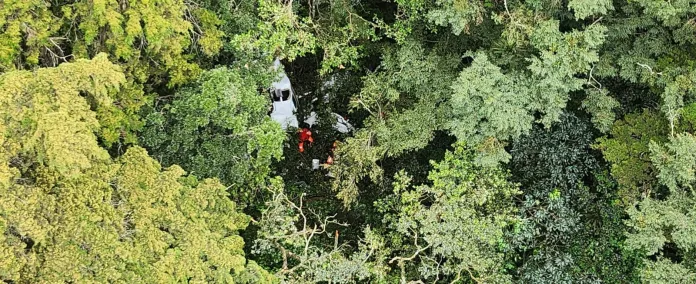 Los restos de la avioneta fueron localizados entre la maleza y el bosque de la barranca.FOTO CVB