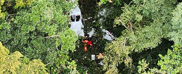 La avioneta quedó entre los árboles en la barranca. Foto: CVB