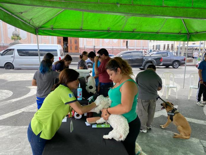 Foto: Unidad Municipal de Bienestar Animal