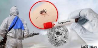 El Ministerio de Salud prepara campaña de prevención para evitar el criadero de zancudos que transmiten el dengue. Foto: La Hora