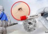 El Ministerio de Salud prepara campaña de prevención para evitar el criadero de zancudos que transmiten el dengue. Foto: La Hora