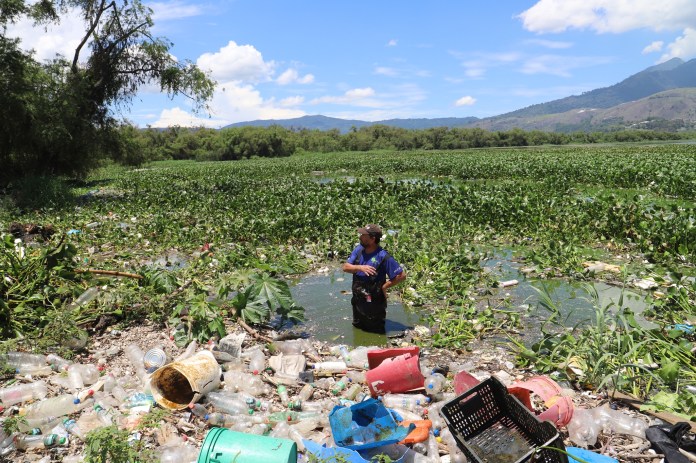 Un hombre saca residuos sÃ³lidos flotantes de manera manual del lago de AmatitlÃ¡n. Foto: La Hora / Amsa