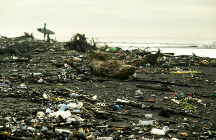 Agrupaciones en favor del planeta buscan motivar a reducir la contaminaciÃ³n. (Foto: cortesÃ­a)