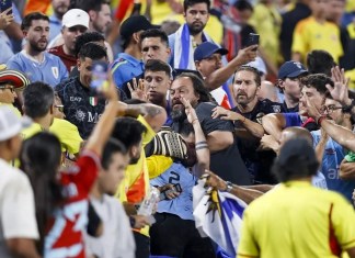 Los aficionados se pelean en la Copa América 2024. EFE/EPA/BRIAN WESTERHOLT