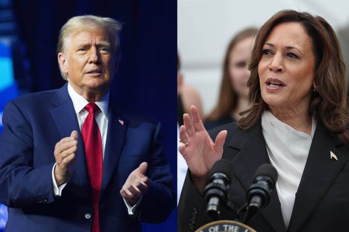 Combo de fotografías donde se observa al expresidente de los Estados Unidos Donald Trump y a la vicepresidenta estadounidense Kamala Harris. EFE/Archivo