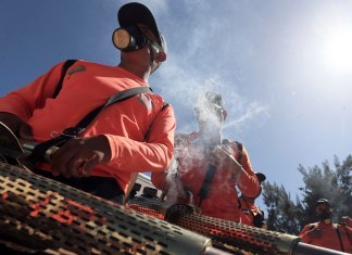 Miles de personas se sumaron este viernes en Honduras, en el "Día D", a la lucha contra el zancudo transmisor del dengue, enfermedad que ha dejado al menos 137 muertos y más de 109.000 casos registrados en lo que va de 2024. EFE/ Gustavo Amador