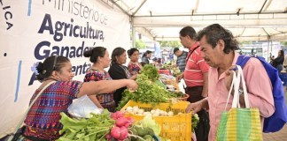 "Más de cien productores pondrán a la venta sus productos", Foto: MAGA / La Hora.