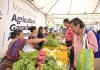 "Más de cien productores pondrán a la venta sus productos", Foto: MAGA / La Hora.