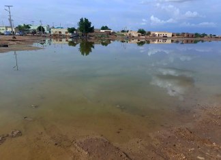 Inundaciones han dejado incomunicadas a varias poblaciones de un valle cerca de la ciudad de Abu Hamdan, el 7 de agosto de 2024, en el norte de Sudán. (AP Foto/ Samira Hassan)