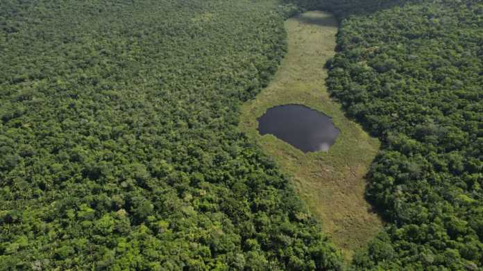 También buscan la preservación de las áreas protegidas. Foto: Conap.