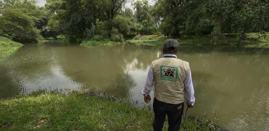 Los miembros del Conap, hasta el momento, han avistado un ejemplar. Foto: JosÃ© Orozco