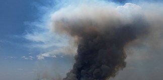 Una columna de humo se eleva por el incendio en el área ambiental protegida del Parque Nacional de Brasilia durante la estación seca, el lunes 16 de septiembre de 2024, en Brasilia, Brasil. (AP Foto/Eraldo Peres)