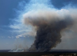 Una columna de humo se eleva por el incendio en el área ambiental protegida del Parque Nacional de Brasilia durante la estación seca, el lunes 16 de septiembre de 2024, en Brasilia, Brasil. (AP Foto/Eraldo Peres)