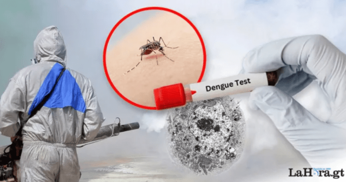 Dengue