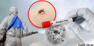 Dengue