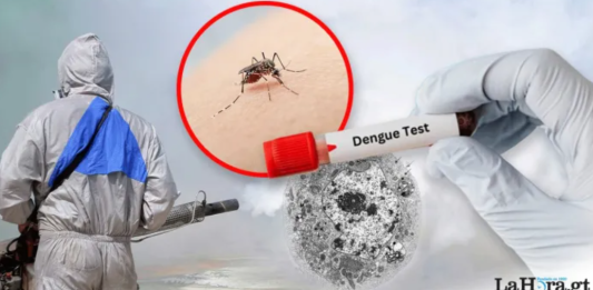 Dengue
