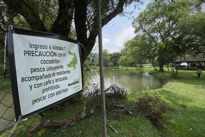 Un letrero en la laguna advierte de la posible presencia de estos reptiles. Foto: José Orozco 